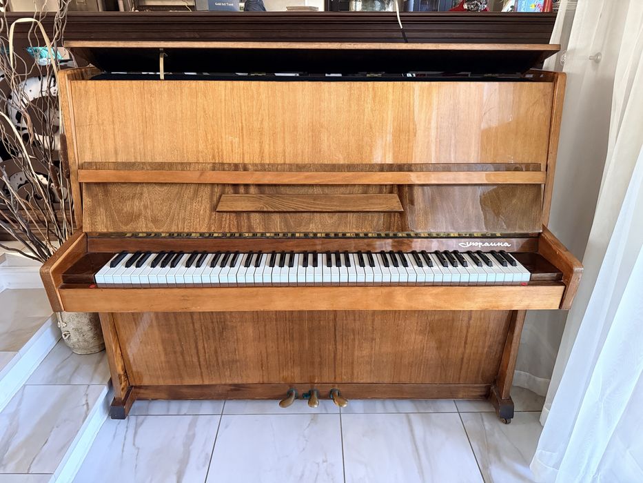 Pianina mecanica Ukraine Razno cu placa de bronz