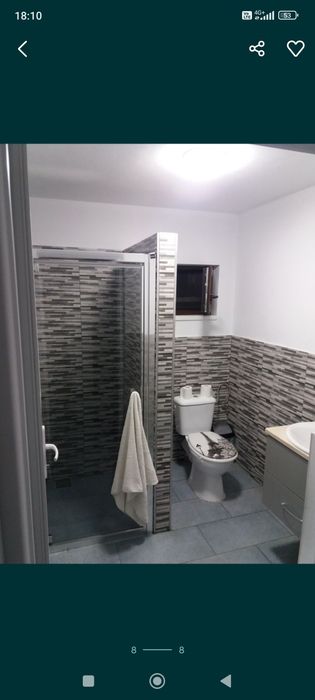 Cabana baile figa. Budurlean 1. 3 dormitoare 10 locuri