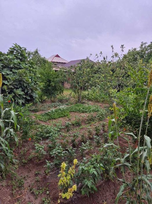 Нуробод эски мерныйда ховли сотилади 20 сотих Ипотекага хам курилади