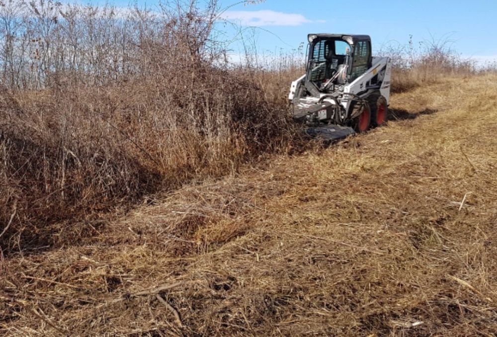 Oferim servicii de cosit si intretinere spatii verzi