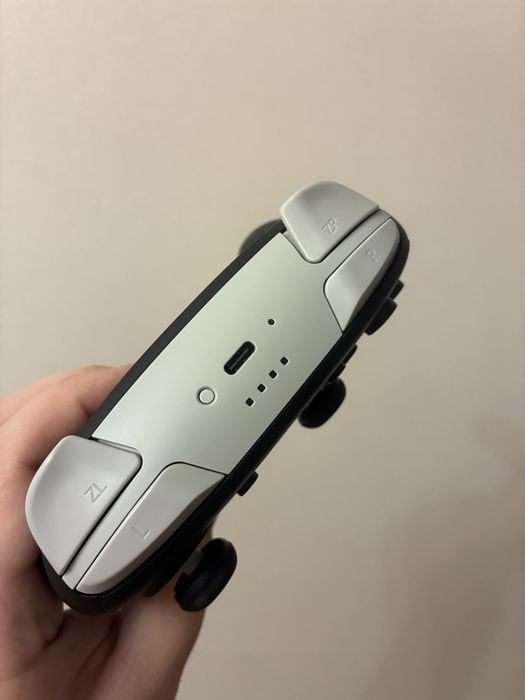 Nintendo Switch 2 Pro Controller