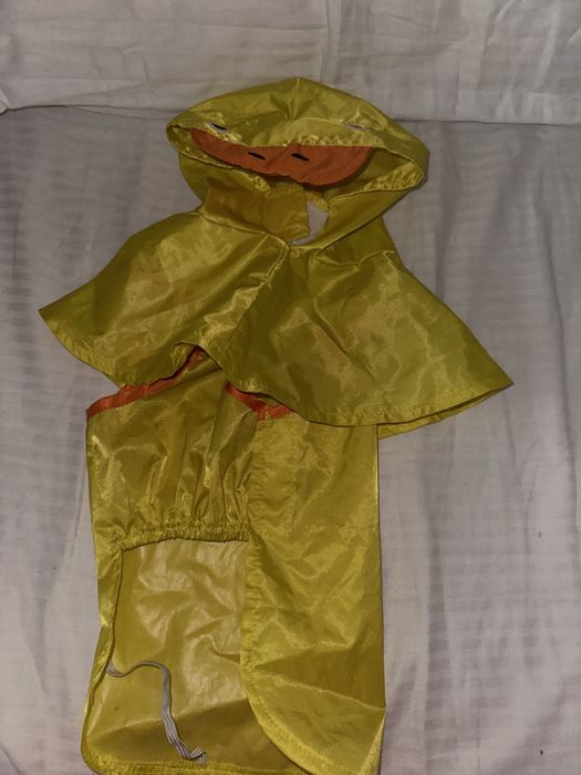 Товары для собак