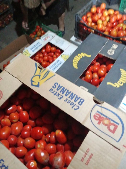 Vind roșii  și gogonele ideale  pentru bulion și pentru murat