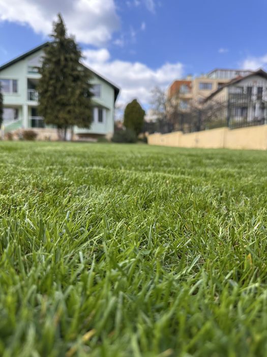 Косене на трева - висока и ниска/ озеленване/поддръжка