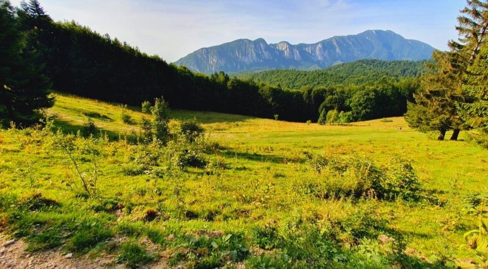 De vânzare teren intravilan – Trei Brazi, Predeal