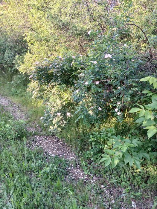 Къща в с. Юпитер