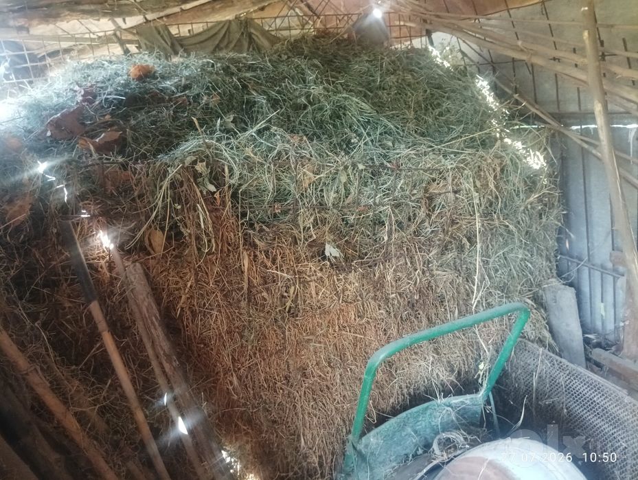 Продаю сено животным