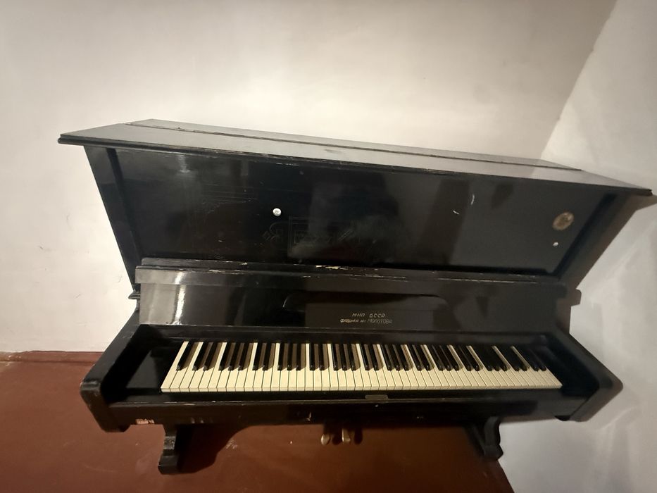 pionina sotiladi