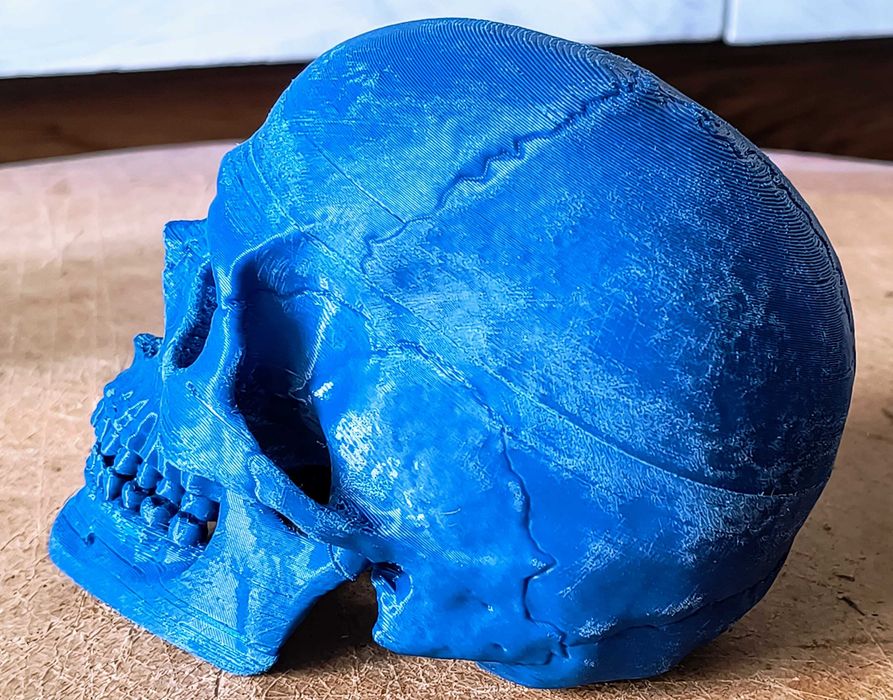 3D принтиран анатомичен череп – детайлен и стилен декор