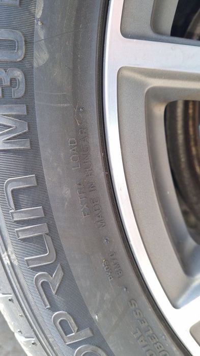 Джанин + Гуми р19!