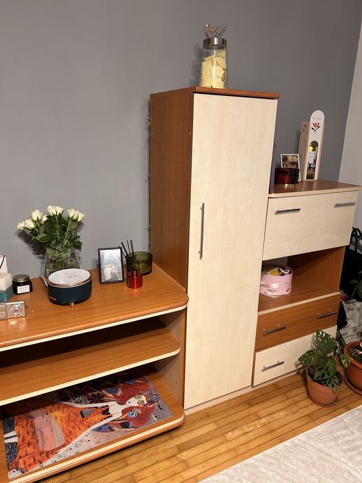 Mobila tip biblioteca/șifonier