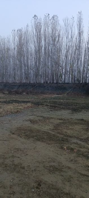 Noturar yer sotiladi