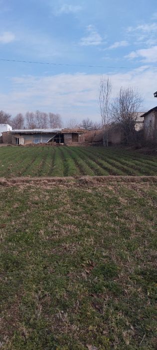 Ер сотилади жой жуда яхши бир сотги 15 милон сумдан