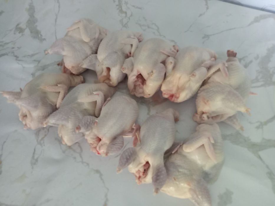 Продам свежее перепелиное  мясо