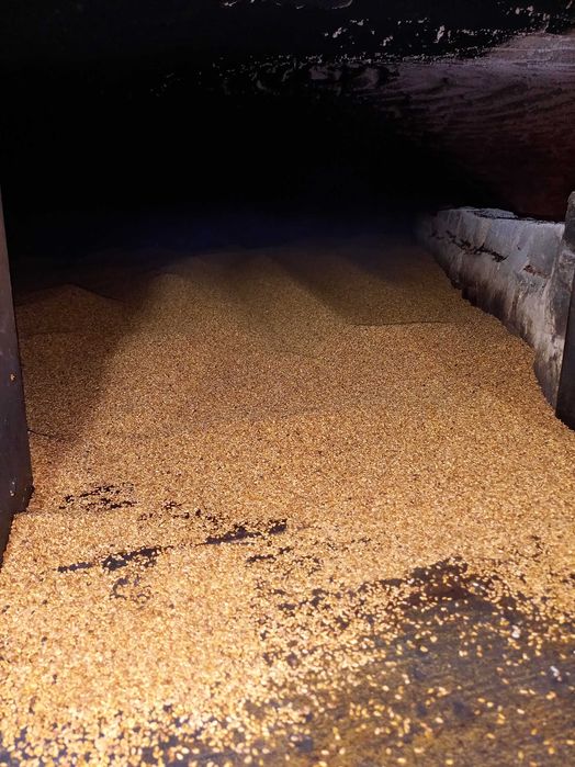 Сусамов пълнозърнест тахан