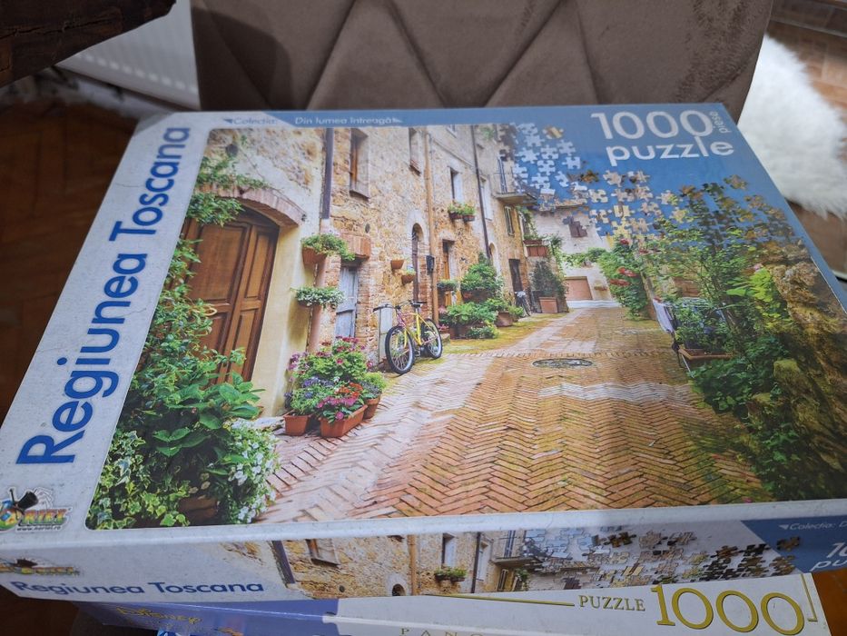 Jocuri puzzle si un joc adevarat sau fals