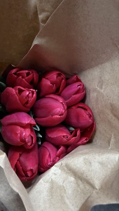 Продам тюльпаны оптом 300