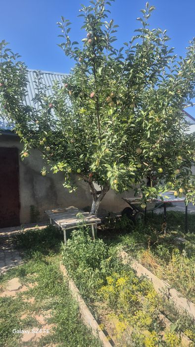 продается частный дом в районе схи