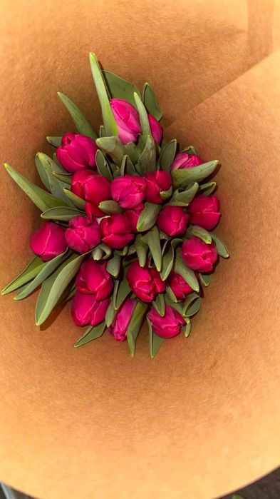 Тюльпаны Розница в упакове с доставкой