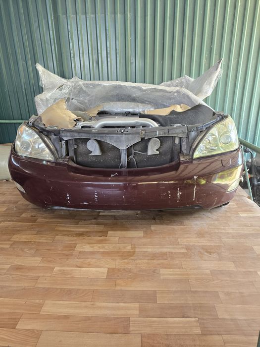 Мини морда ноускат