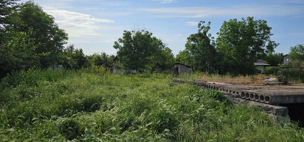 Продаётся своя дача на Ташморе 18 соток.