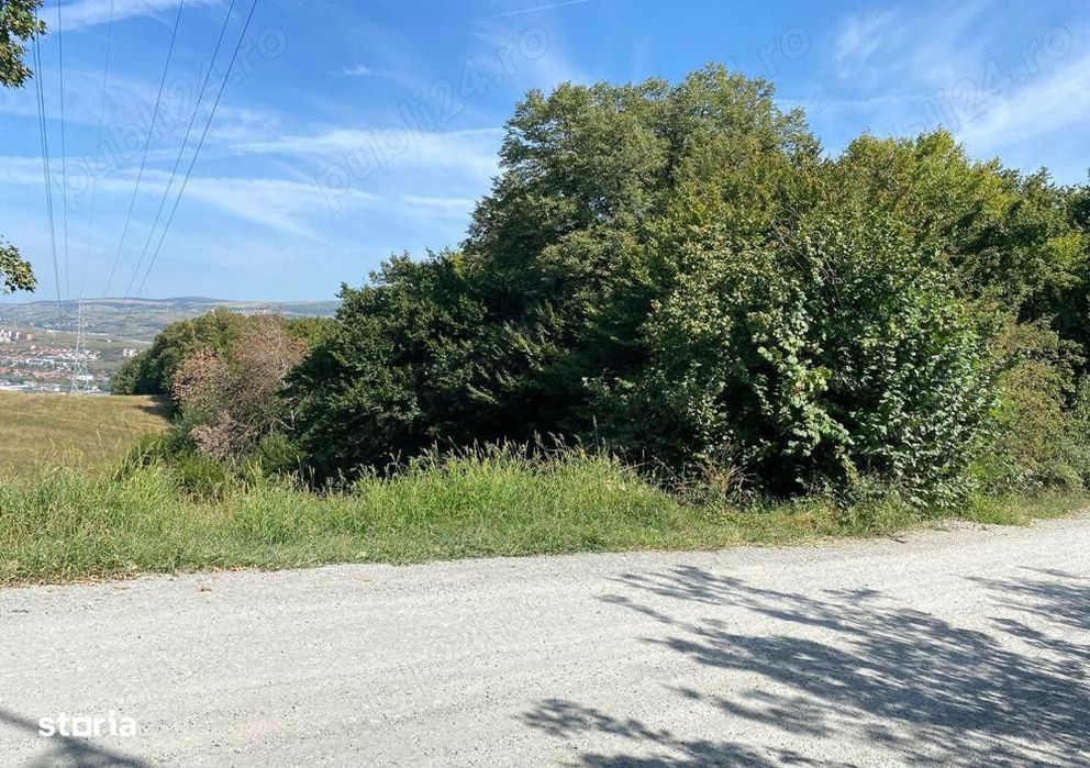 OPORTUNITATE UNICA, Teren inravilan strada Uliului 17234 mp