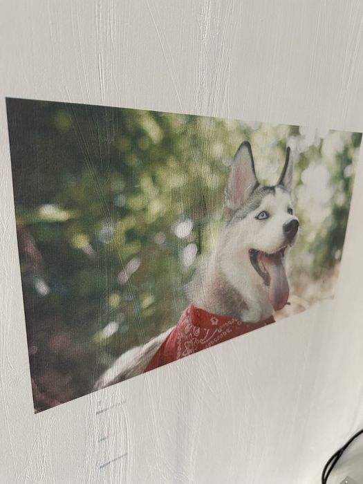 Devor printeri 3D,5D,7D xoxlagan razmerda