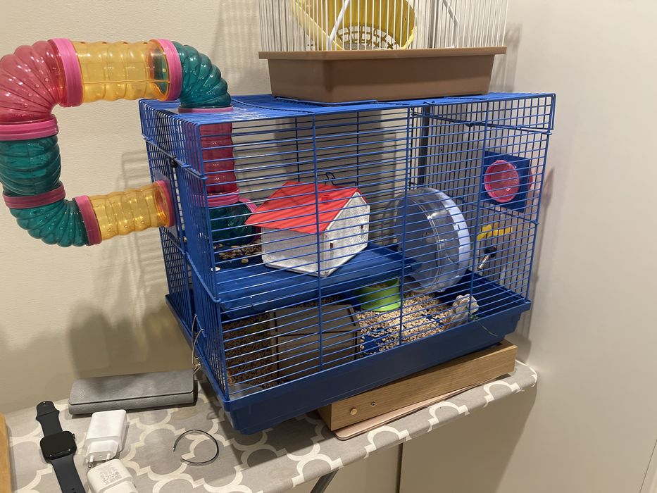 Клетки для хомяка