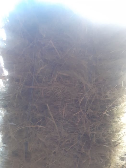 Baloti de fân de vânzare