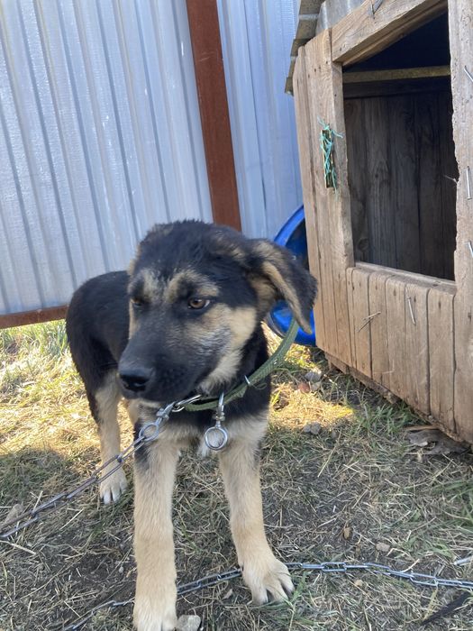 Лввллвлвлаллалалалалпьлпллплпьп