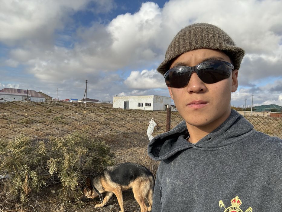 Немецкая овчарка