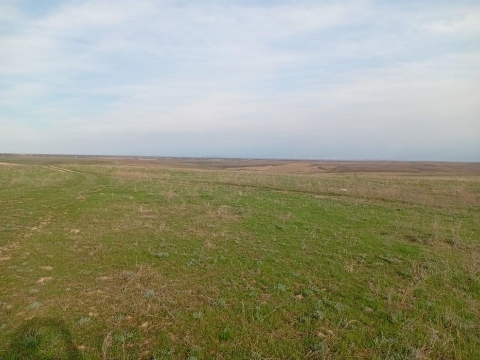 Жер арендаға беріледі 10 га