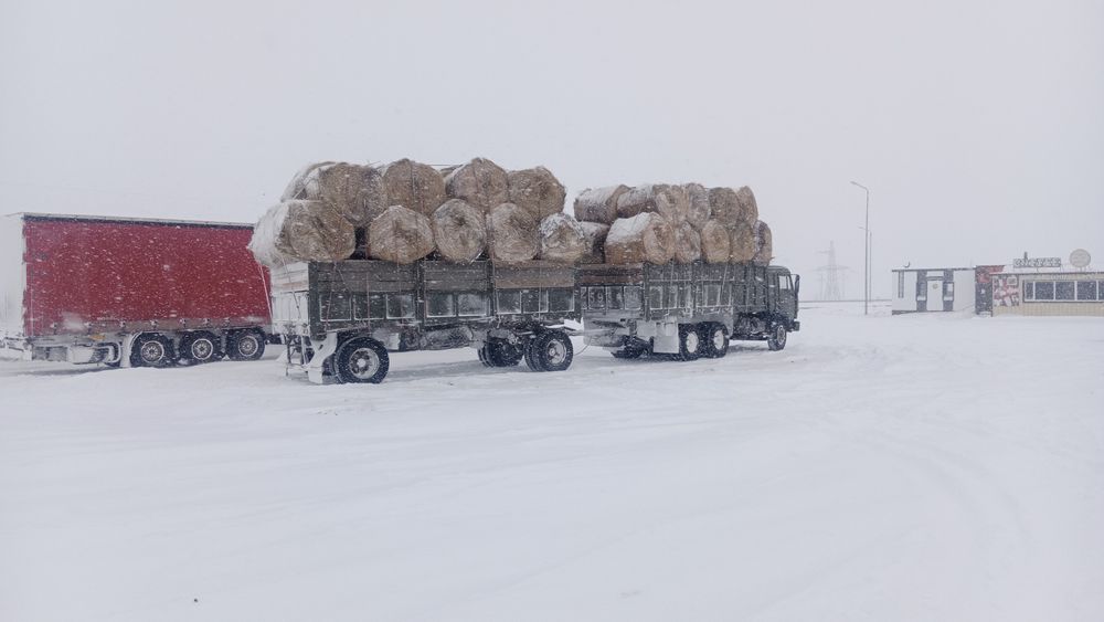 Продам сено разнотравия руллонах зелёный