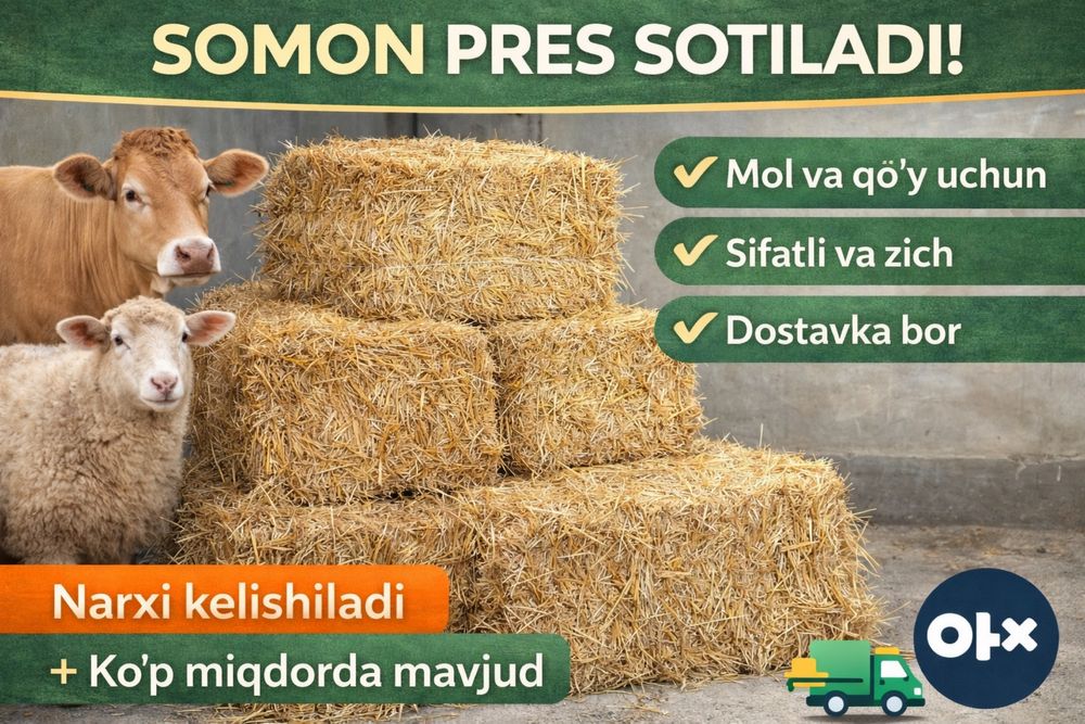 Somon press sotiladi