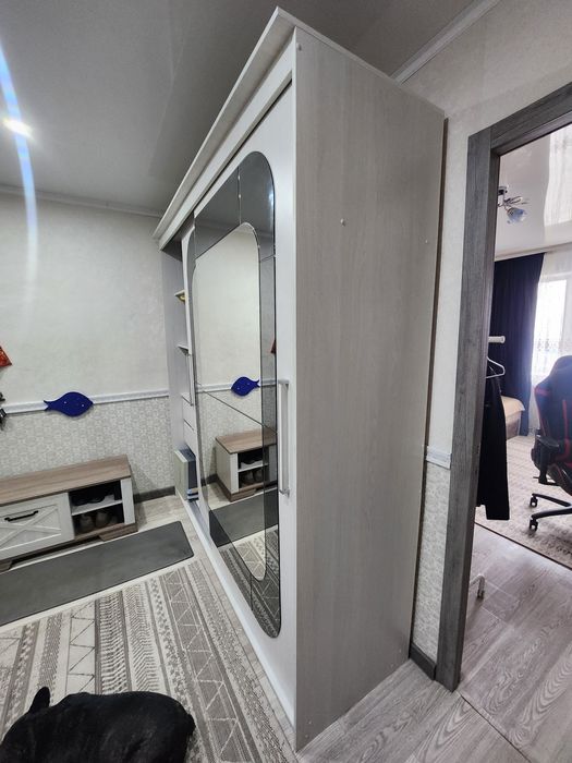 Шкаф-Купе в прихожую