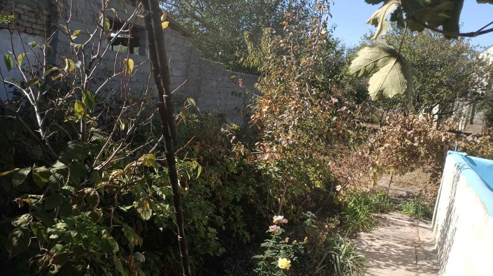 Дача кайнар булак. Срочно