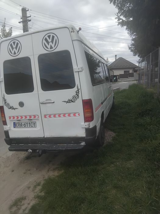 Vând elte de Polonia cu acte  valabile
