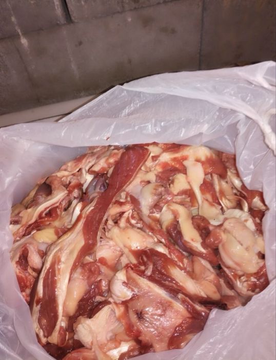 Корм для собак и кошек