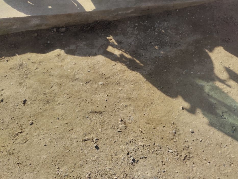 Muravey sotiladi 250 lik