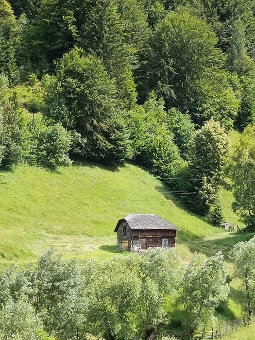 Teren intravilan