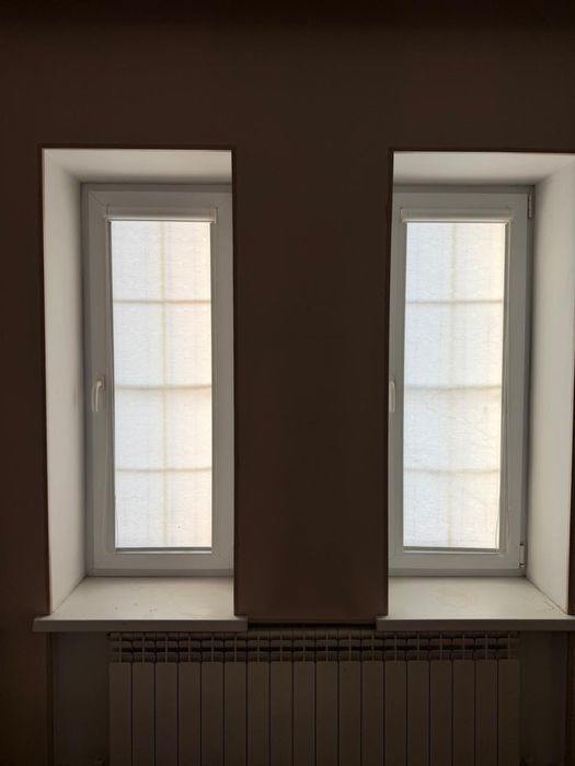 Окна ликовские