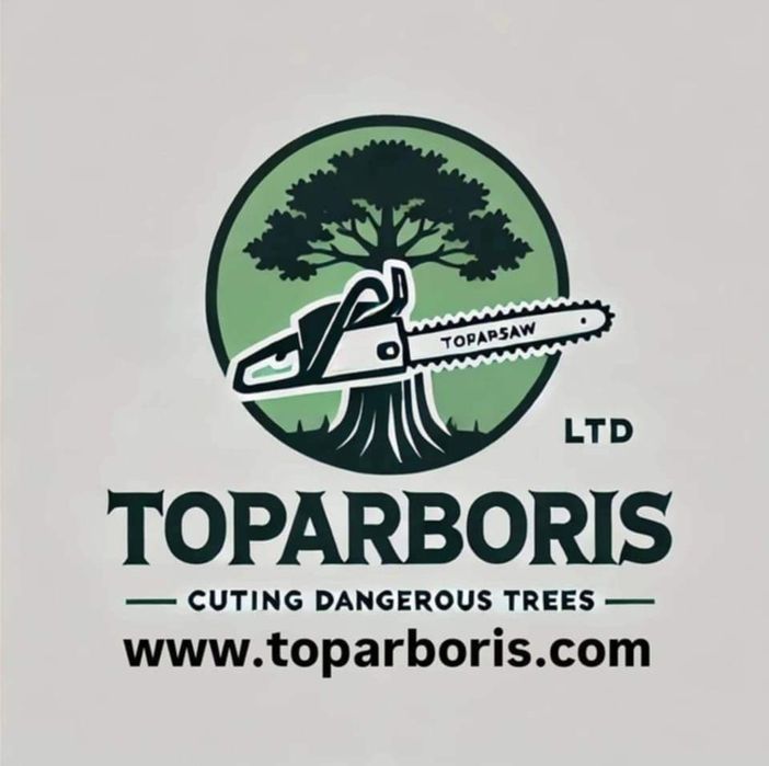 Рязане на опасни дървета по алпийски способ и автовишка