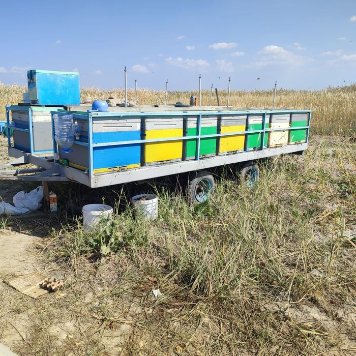 Продаётся пчелоприцеп