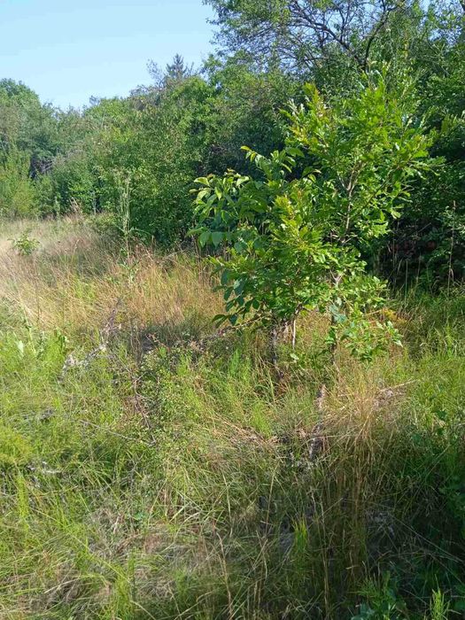 Продава се Парцел в с. Ялботина, Област София-област - 1000 кв.м за 15 €/кв.м - Снимка #10