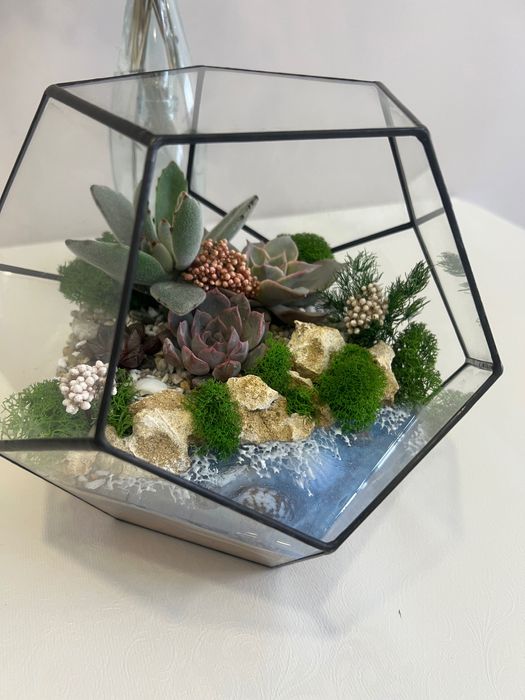 Флорариум подарок