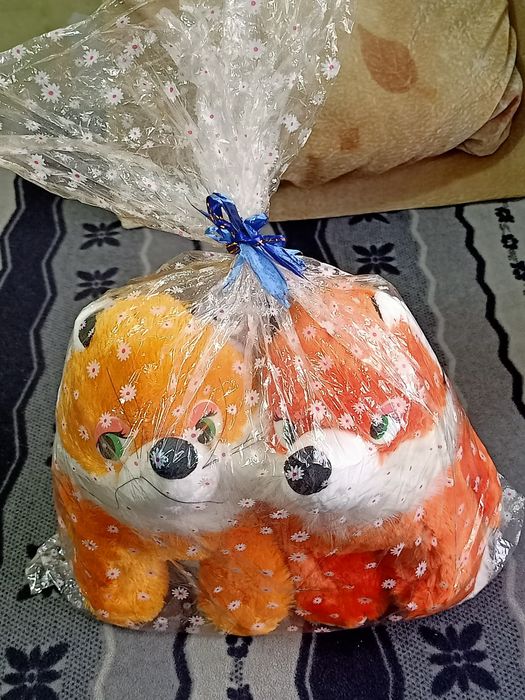 Подарок для двойняшек