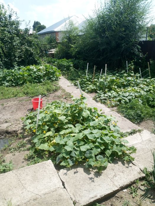Продам часть дома в районе Жилянки