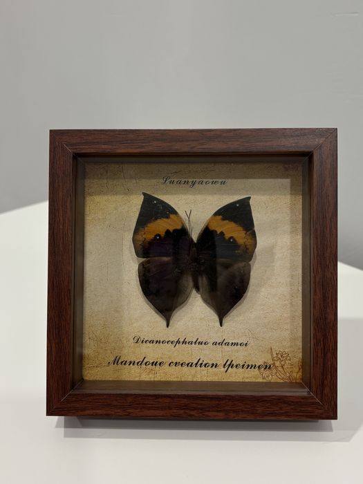 Бабочки в рамке ручная раьота