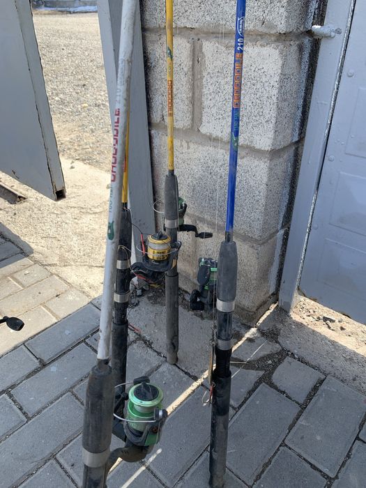 Продаю урочка 5 штук