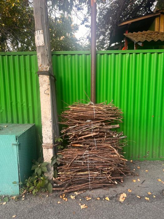 Дрова / дерево / много